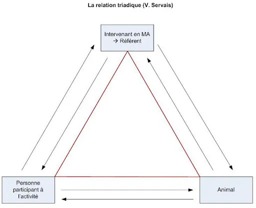 schéma relation triadique schéma relation triadique