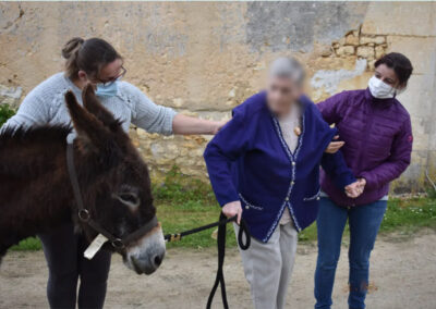 médiation animale