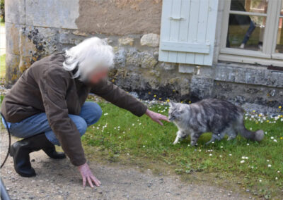 médiation animale