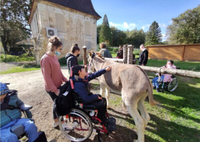 médiation animale